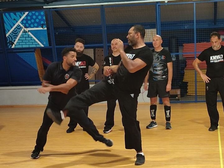 Alex Shao esquive un coup de pied en démonstration, devant les pratiquants de Krav Maga Warrior 47, lors du stage de Marmande