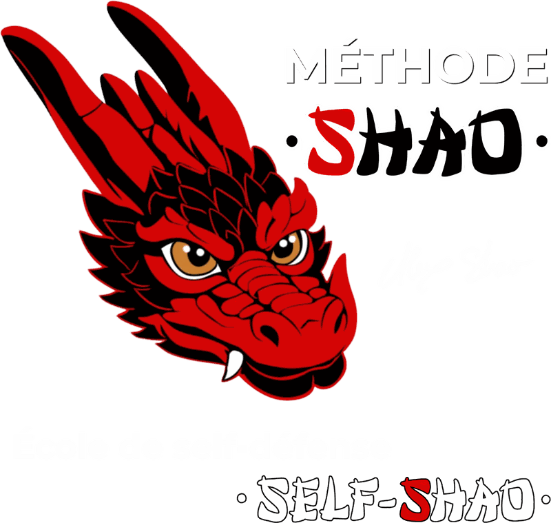 M&eacute;thode Shao, par Alex Shao &mdash; &Eacute;cole de self-d&eacute;fense Self-Shao