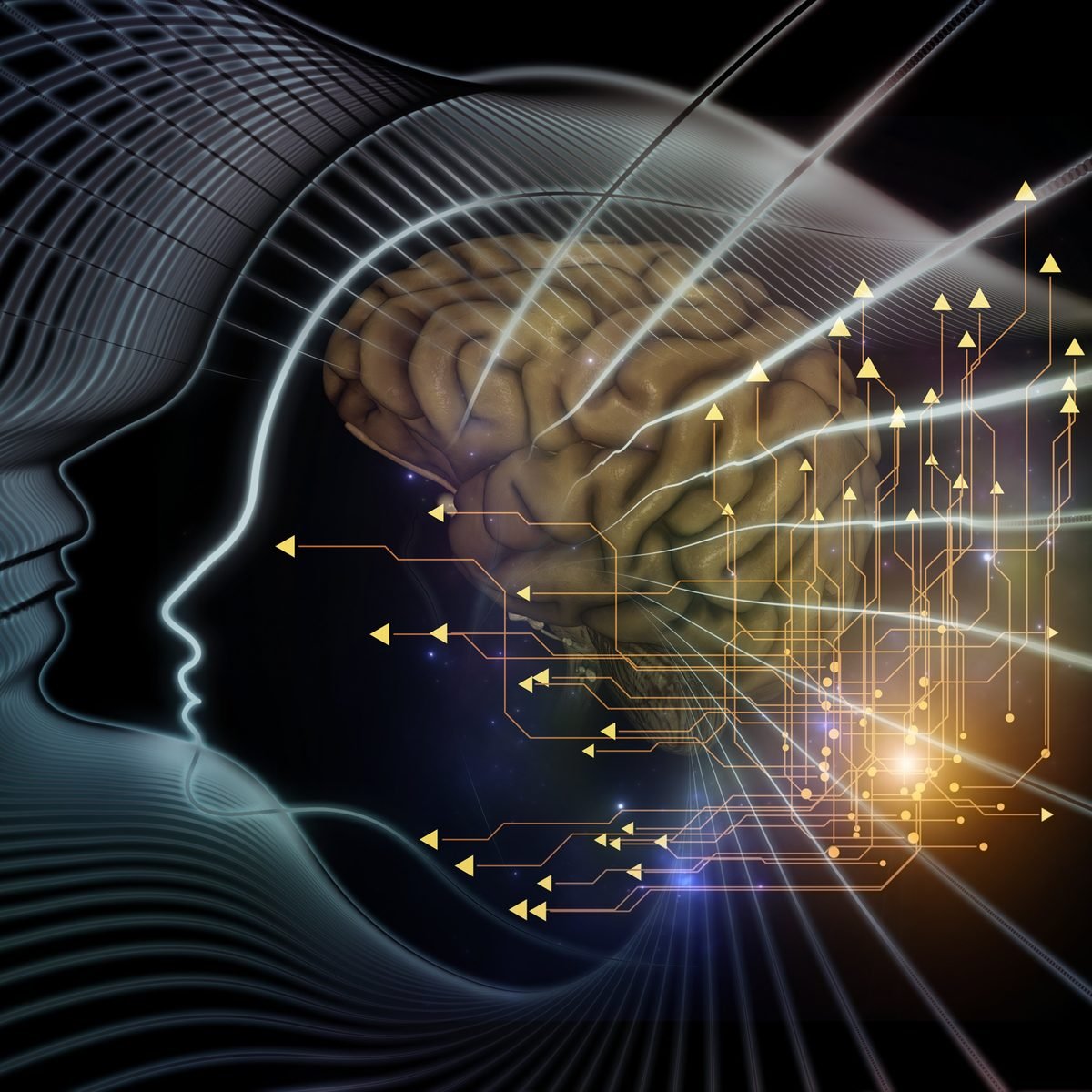 Profil humain et cerveau parcouru de connexions lumineuses — neurosciences et self-défense