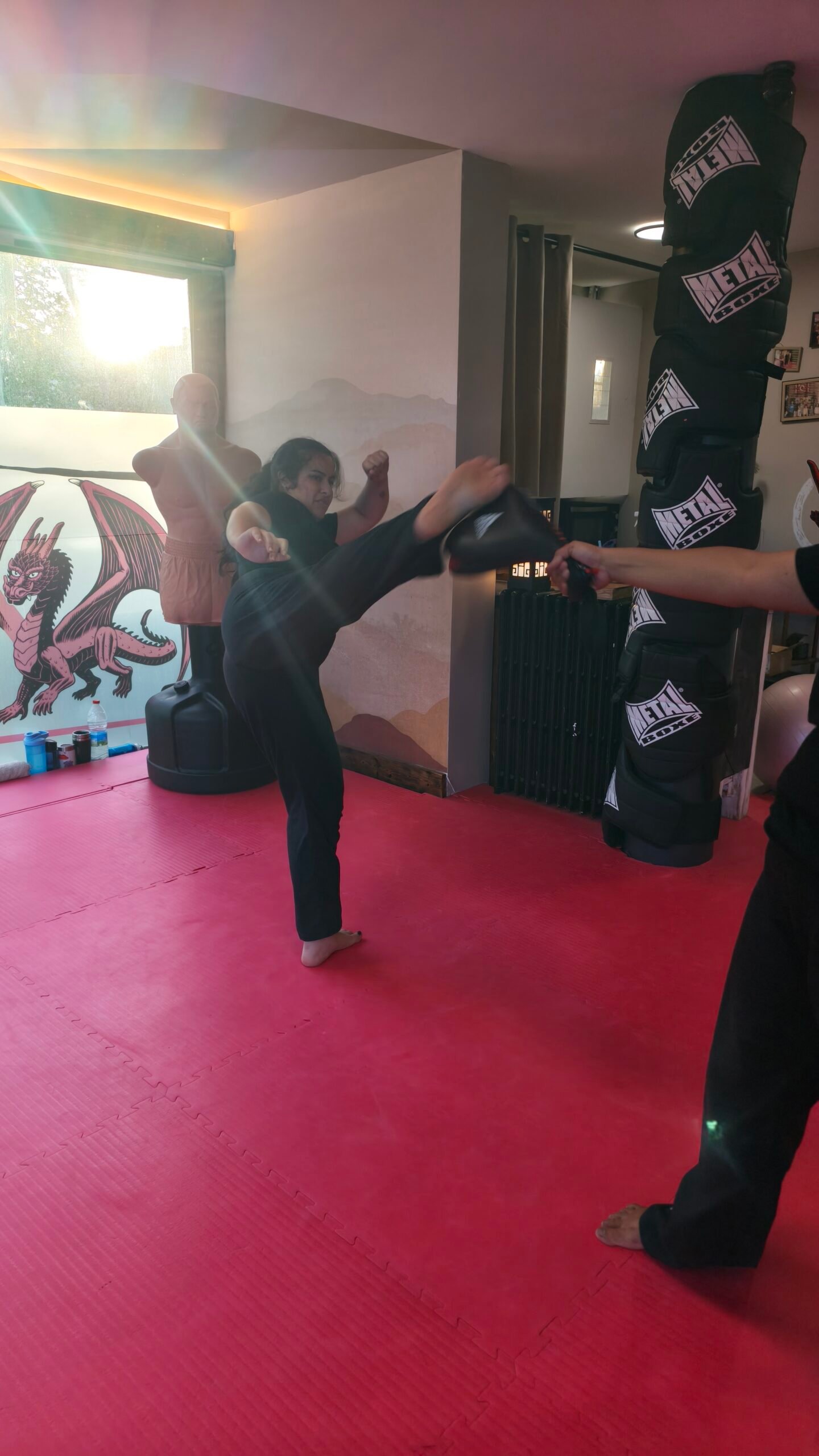 Self-Shao — coup de pied circulaire sur cible